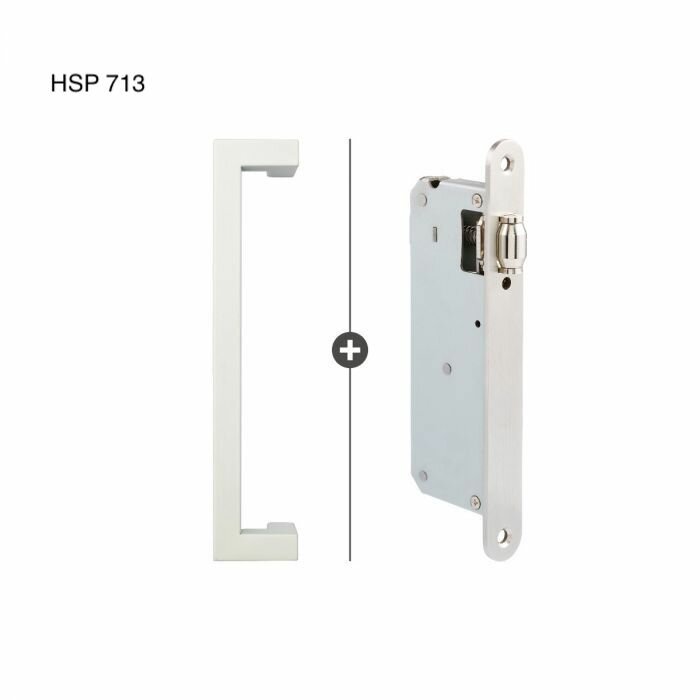 HSP 713