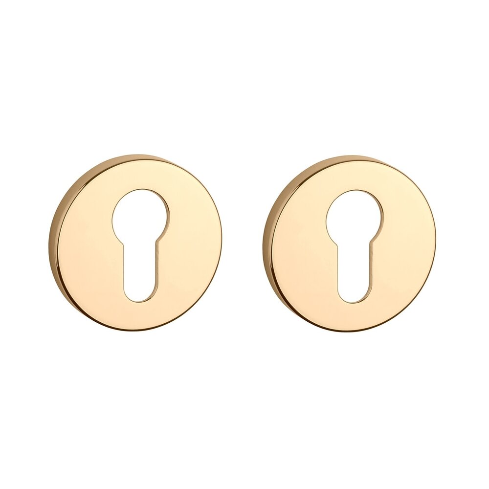 Cilinder rozet rond 53x7mm Goud gepolijst