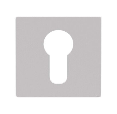 CILINDERROZET SQUARED REGULAR WIT