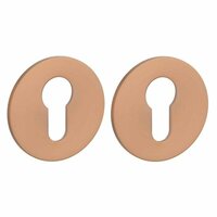 STERK cilinderplaatjes OVAL 1711 ultra dun 3mm &ndash; koper PVD