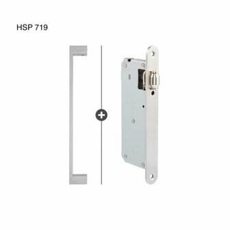 HSP 719