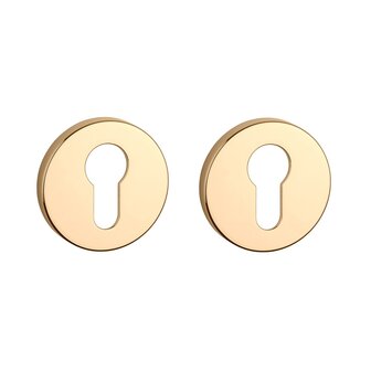 Cilinder rozet rond 53x7mm Goud gepolijst