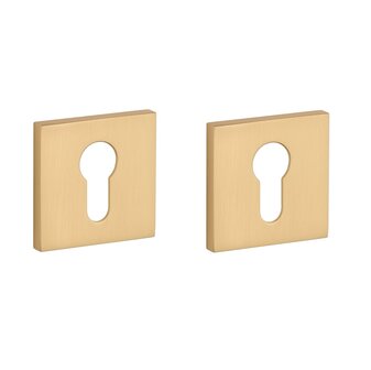 Cilinder rozet vierkant 53x53x7mm Goud satijn