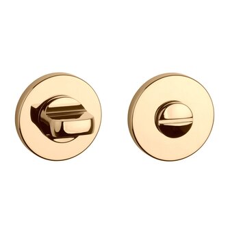 Toiletgarnituur rond 52X7mm Goud gepolijst