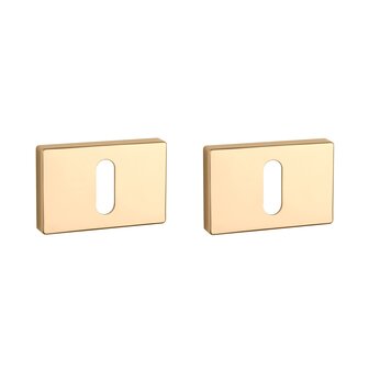 Sleutel rozet rechthoek 50X33X7mm Goud gepolijst