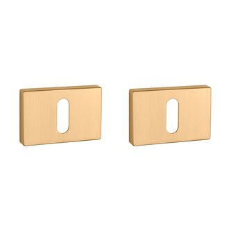 Sleutel rozet rechthoek 50X33X7mm Goud satijn