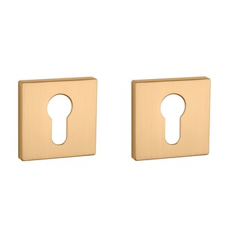 Clinder rozet vierkant 50X50X7mm Goud satijn
