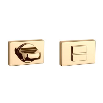 Toiletgarnituur rechthoek 50X33X7mm Goud gepolijst