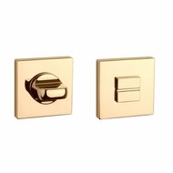 Aprile Premium WC garnituur 52x52x7mm gepolijst goud