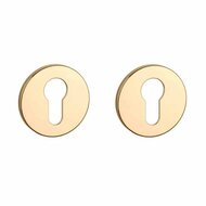 Aprile Prestige cilinderrozetten &Oslash;52x5mm goud gepolijst