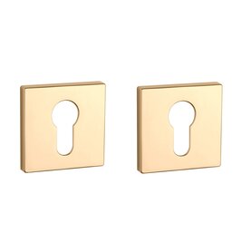 Clinder rozet vierkant 50X50X7mm Goud