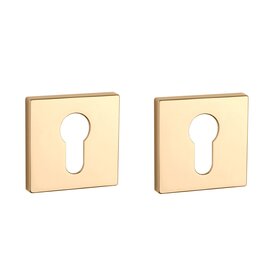 Clinder rozet vierkant 50X50X7mm Goud gepolijst