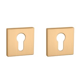 Clinder rozet vierkant 50X50X7mm Goud satijn