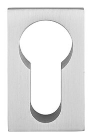 FREMONT CILINDERROZET RVS